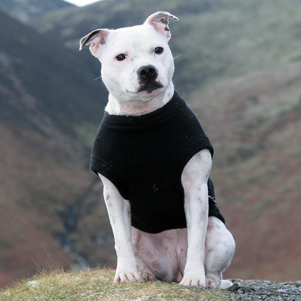 Polartec Fleece Dog TankTop Rainproof, Breathable, Warm and Washable