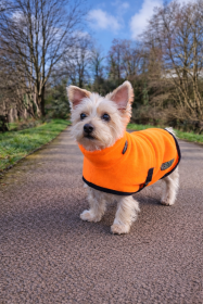 Turtle Neck Coat, Blaze Orange