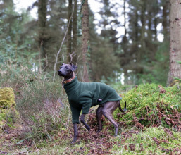 Dog Sweater, Loden Green