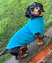 Dachsie Sweater, Teal