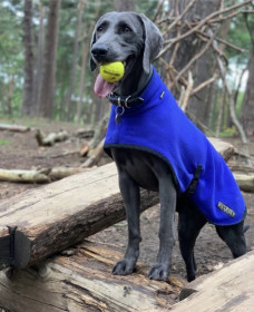 Turtle Neck Coat, Cobalt Blue