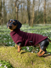 Dachsie Sweater, Mulberry