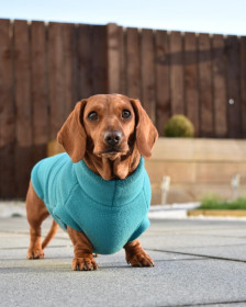 Dachsie Sweater, Teal