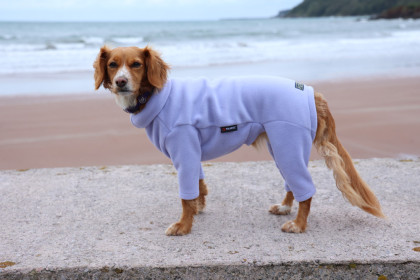 Dog Suit, Lavender