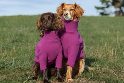 Dog Sweater, Wild Foxglove