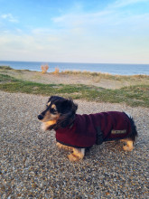 Turtle Neck Coat, Mulberry