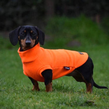 Dachsie Sweater, Blaze Orange