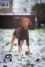 Dog Sweater, Dark Brown