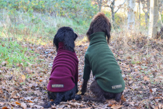 Dog Sweater, Loden Green, Mulberry