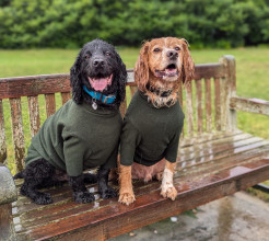 Dog Sweater, Loden Green