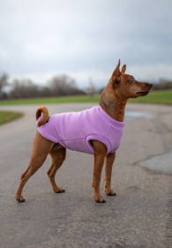 Dog Tank Top, Pale Heather