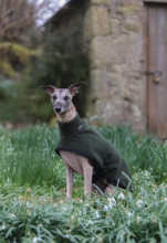 Turtle Neck Coat, Loden Green