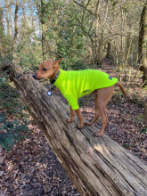 Dog Sweater, Fluorescent Yellow