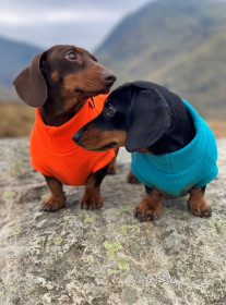 Dachsie Sweater, Teal, Blaze Orange