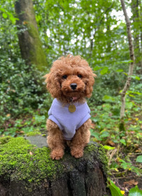 Dog Tank Top, Lavender