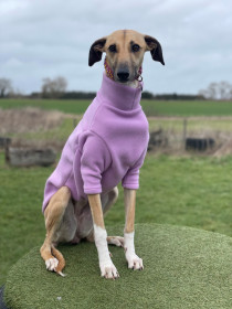 Dog Sweater, Pale Heather