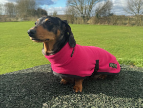 Turtle Neck Coat, Soft Fuchsia