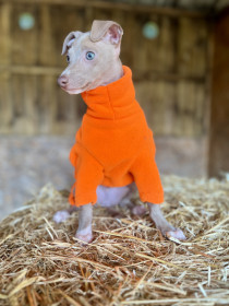 Dog Sweater, Blaze Orange Dog Sweater, Blaze Orange