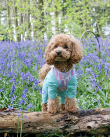 T-Shirt Suit, Mint Green