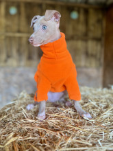 Dog Sweater, Blaze Orange