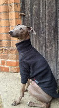 Dog Sweater, Black