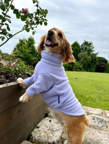 Dog Sweater, Lavender