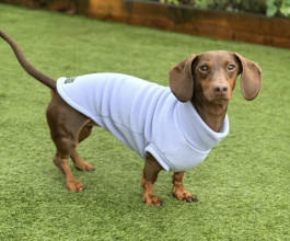 Dachsie Sweater, Lavender