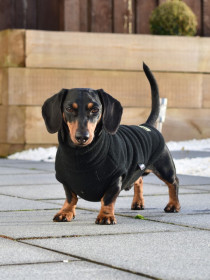 Dachsie Sweater, Black