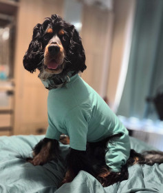 T-Shirt Suit, Mint Green