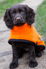 Turtle Neck Coat, Blaze Orange