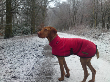 Turtle Neck Coat, Red