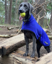 Turtle Neck Coat, Cobalt Blue