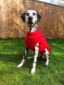 Dog Tank Top, Red