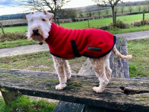 Turtle Neck Coat, Red