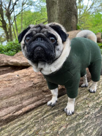 Dog Suit, Loden Green