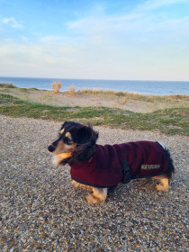 Turtle Neck Coat, Mulberry