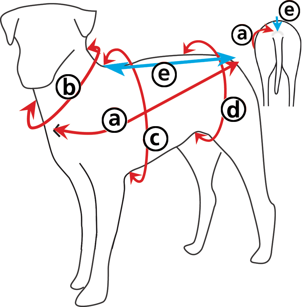 Sizing Guide How To Measure Equafleece