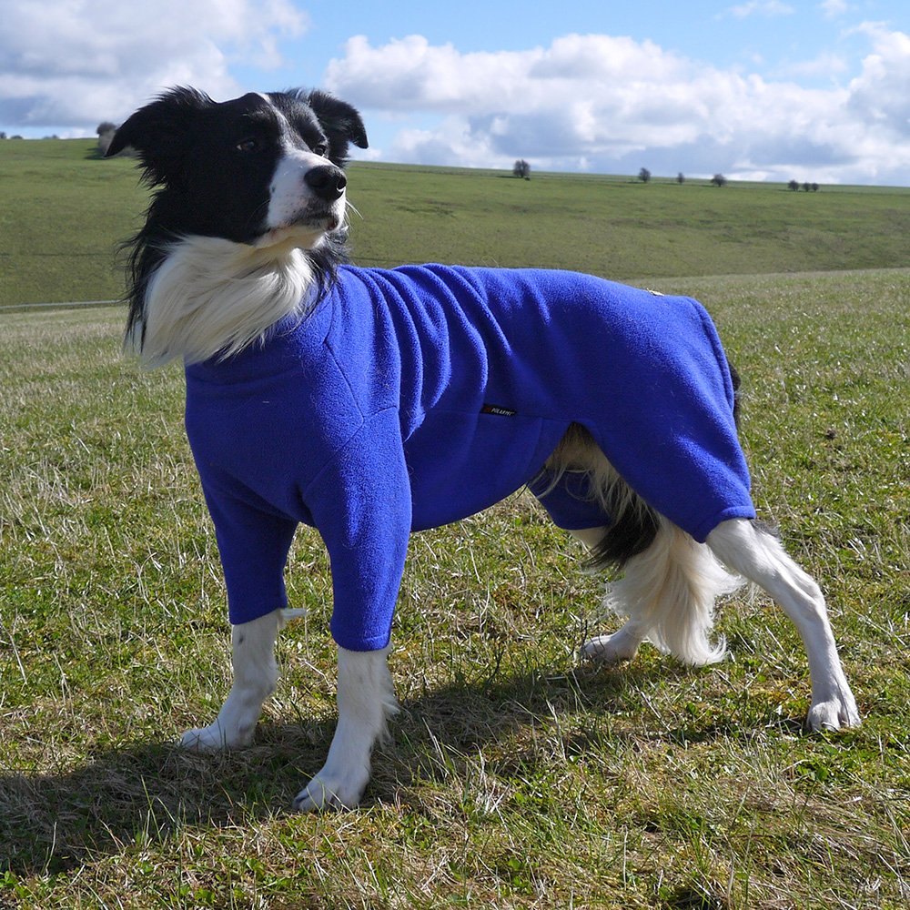 aquafleece for dogs