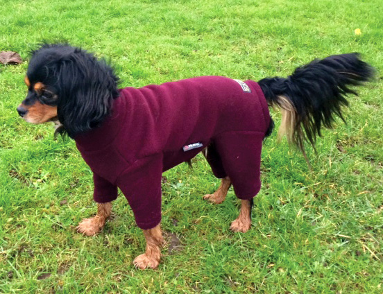 Polartec Fleece Dog Suit - Rainproof 