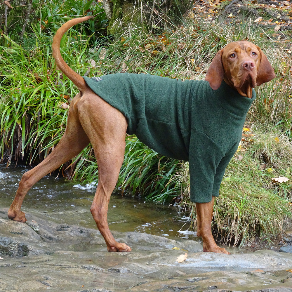 vizsla dog sweater